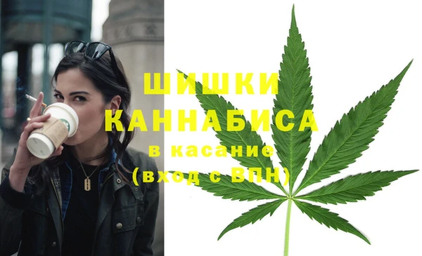 гидропоника Абаза