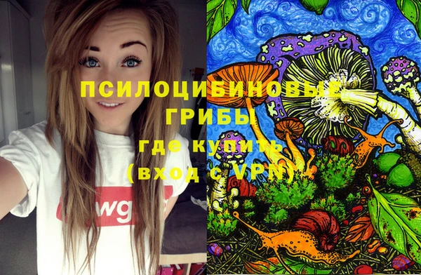 гидропоника Абаза
