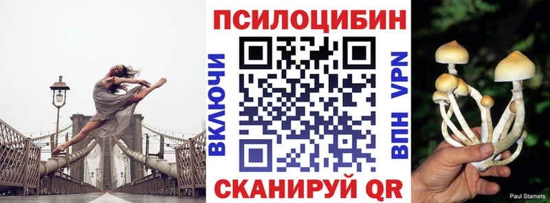 Псилоцибиновые грибы прущие грибы  блэк спрут ссылка  Аксай 